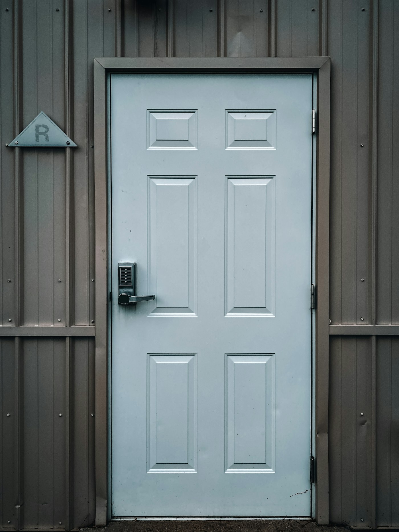 Steel security door